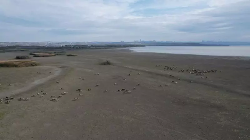 İstanbul'un Su Stresi Alarm Veriyor: Barajlarda Kritik Eşiğe Gelindi!