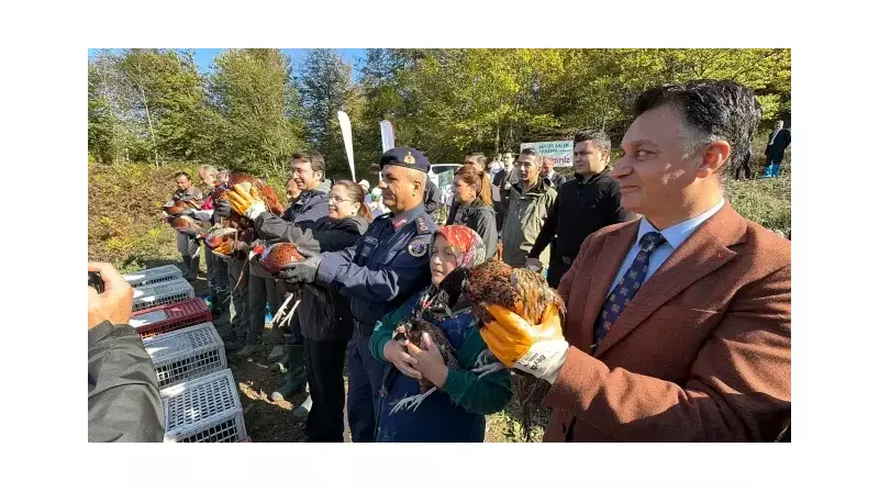 İstilacı Kokarca Böceklerine Karşı Şanlıurfa'nın Sıra Dışı Savunması: Süngü Ordusu Göreve Hazır!