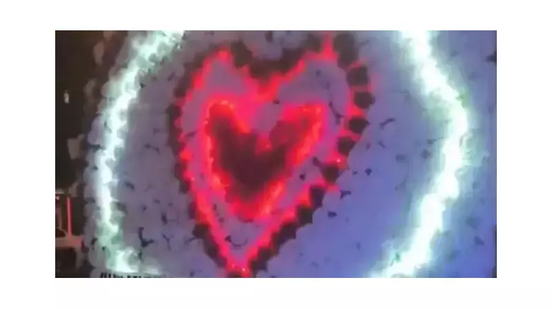 Trafik Cezasıyla Gelen Doğum Günü Şoku: İşte O Anlar ve Pahalı Hesap