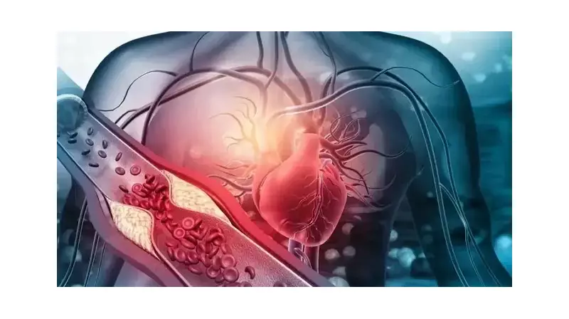 Tromboz Sessiz Katil: Damar Tıkanıklığı Hayatınızı Nasıl Tehdit Ediyor?