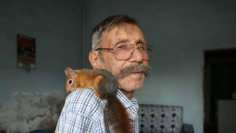 Yalnız Adamın En Yakın Dostu Oldu! Yavruyken Kurtardığı Sincap İnanılmaz Bir Bağ Kurdu