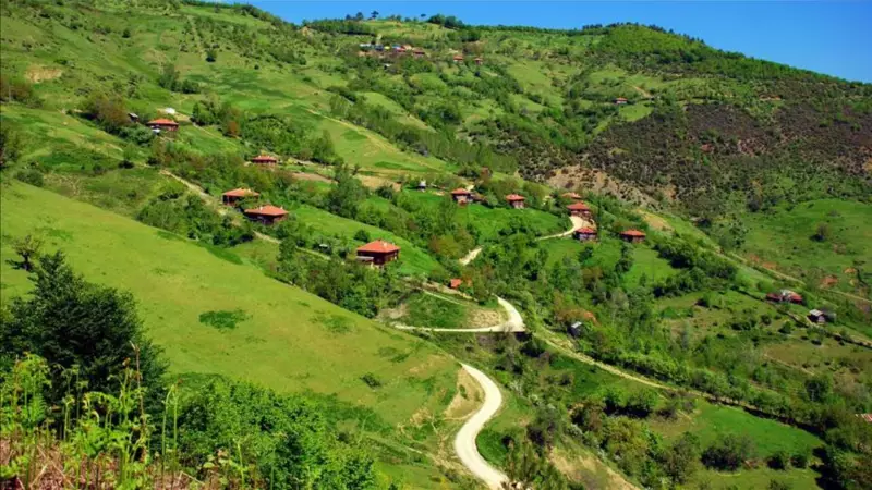 Yenice Nerede? Bu Gizli Cennet Hangi Şehrimizin Bağrında Saklı?