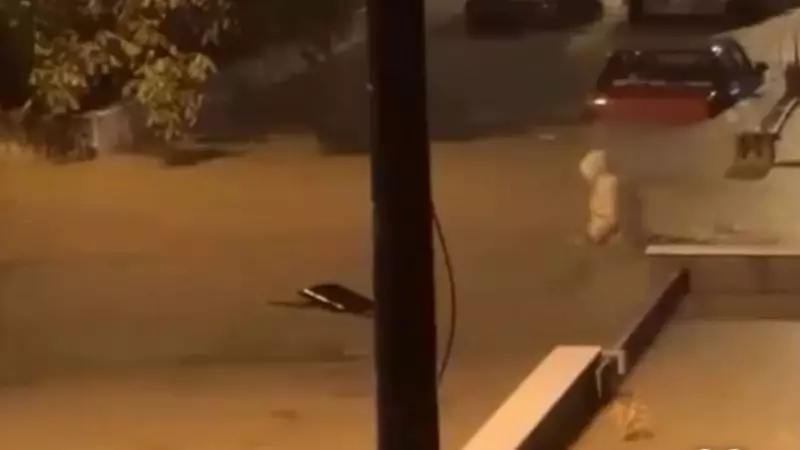 İzmir ve Manisa'da Gök Delindi: Sağanak Hayatı Felç Etti!