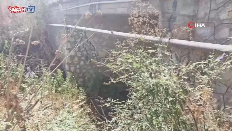 İzmir'de Yürekleri Sızlatan Vahşet: Anne, Bebeğini Köprü Altına Gömmüş!