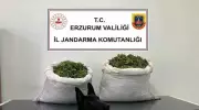 Jandarma Uyuşturucu Çetesini Çökertti: 7 Gözaltı, Büyük Miktarda Esrar Ele Geçirildi!