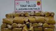 Tokat'ta Dev Kaçak Tütün Operasyonu: Tam 450 Kilo Ele Geçirildi!