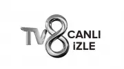 Türkiye - Gürcistan Maçı Canlı İzle: TV8 Yayın Akışı ve Şifresiz Link