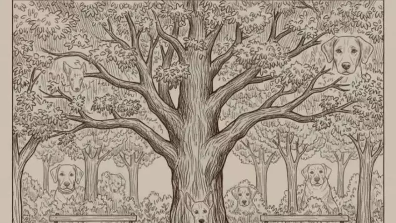 100 Kişiden Sadece 1'i Görseldeki Gizli Köpekleri Bulabiliyor!