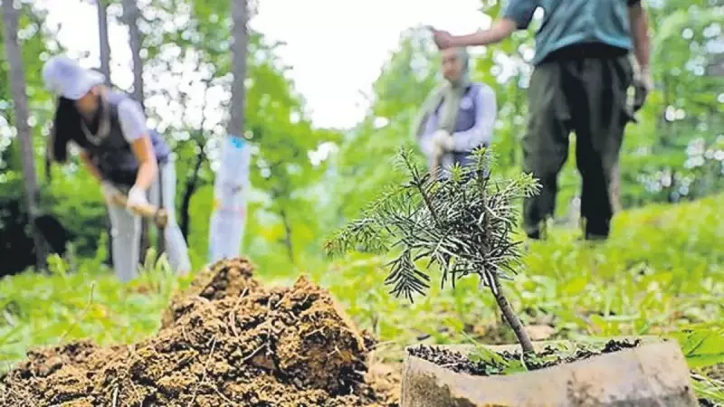 11 Kasım'da 7 Milyon Fidan Toprakla Buluşuyor: Yeşil Vatan Seferberliği