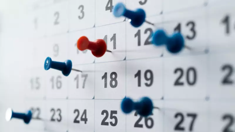 19 Kasım Dünya Erkekler Günü: Tarihçesi ve Önemi