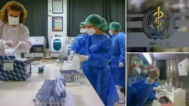 2024'te 10,7 Milyon Tüberküloz Vakası: İlk Kez Düşüş Eğilimi