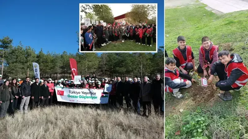 81 İlde Eş Zamanlı Fidan Dikimi: Şehitlerimizin İsimleri Yeşerecek