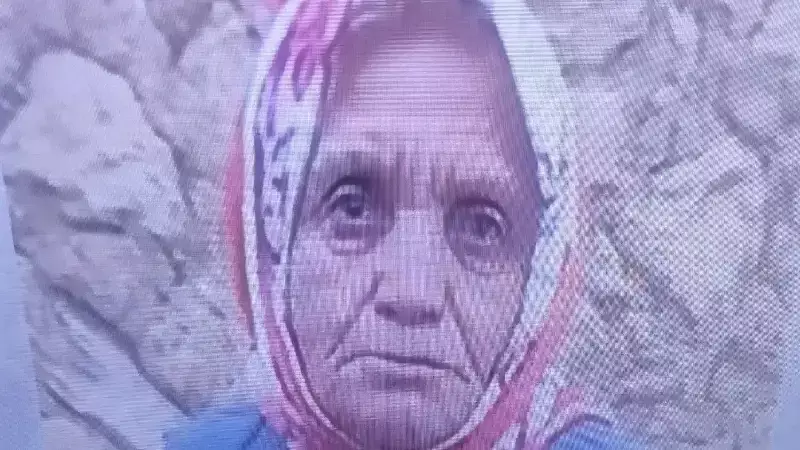 82 Yaşındaki Behiye Yavuz Mantar Toplamaya Gitti, Kayboldu