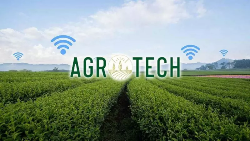 Agrotech, Code ALL Ltd.'e 1 Milyon Euro Yapay Zeka Yatırımı Yaptı