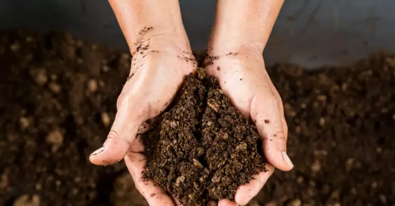 Alüvyal Toprak: Türkiye'nin Tarım İçin En Verimli Toprakları