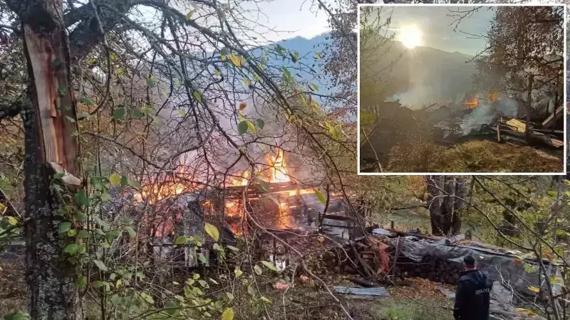 Çamlı Köyü'nde Yangın: 5 Kişi Yaralandı, Ev Kullanılamaz Hale Geldi