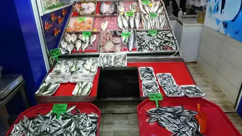 Çanakkale'de Lüfer Fiyatları 1700 Liraya Yükseldi, Palamut Yok