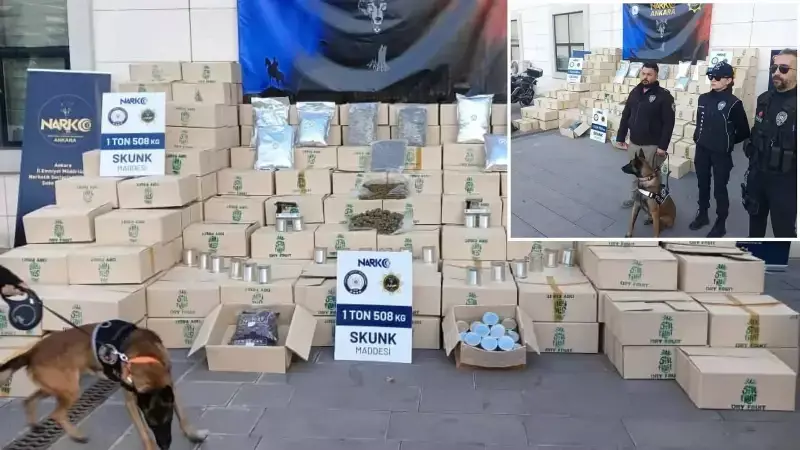 Ankara Polisi 1,5 Ton Skunk Ele Geçirdi: Değeri 1 Milyar Lira