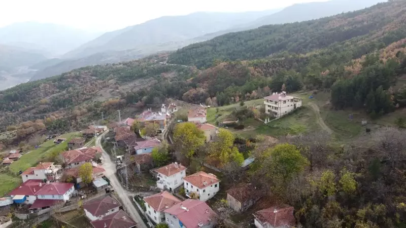 Çankırı'da Mantar Toplarken Hayatını Kaybeden 82 Yaşındaki Kadının Acı Dolu Hikayesi