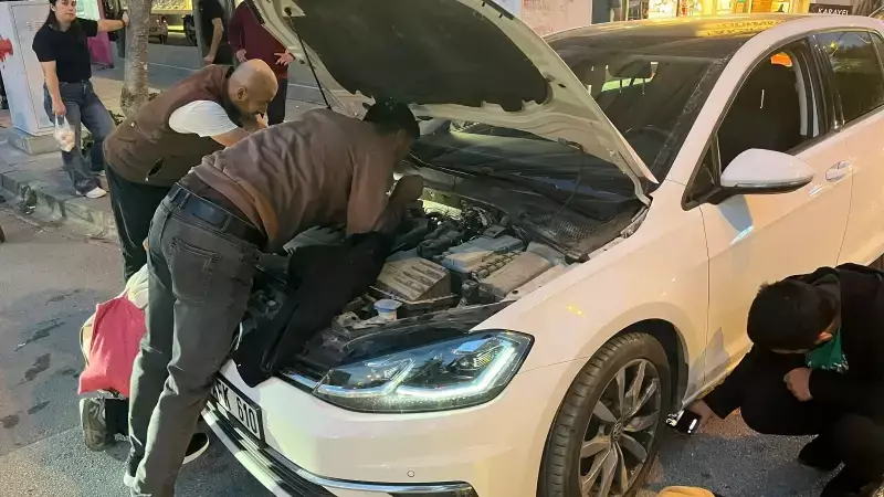 Antalya'da Minik Patinin Kaputaş Plajı'ndaki Macerası: Kurtarma Operasyonu Yürekleri Islattı!