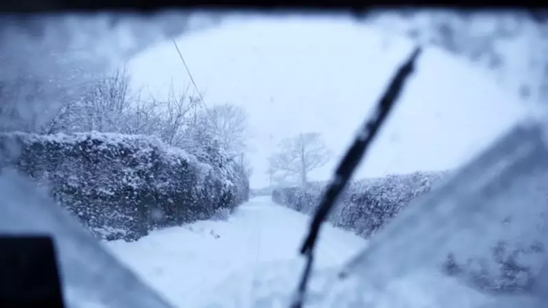 Araba Camı Buzlanmasına Doğal Çözüm: İkiye Kes ve Sür!