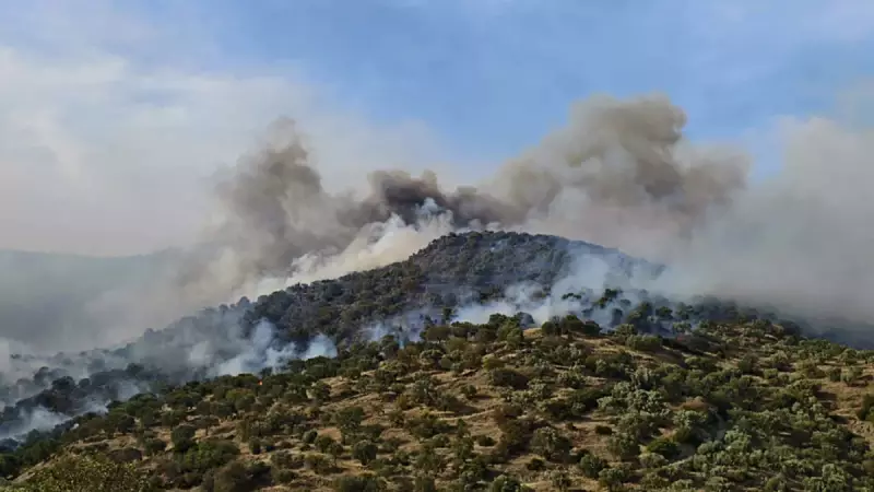 Aydın Bozdoğan'da Orman Yangını: Rüzgar Alevleri Yaydı