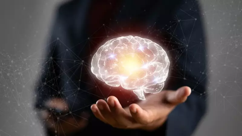 Beynin 5 Kritik Yaş Evresi: 9, 32, 66 ve 83'te Neler Oluyor?