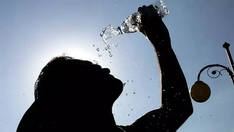 BM Raporu: Sıcaklığa Bağlı Ölümler 1990'dan Beri %63 Arttı