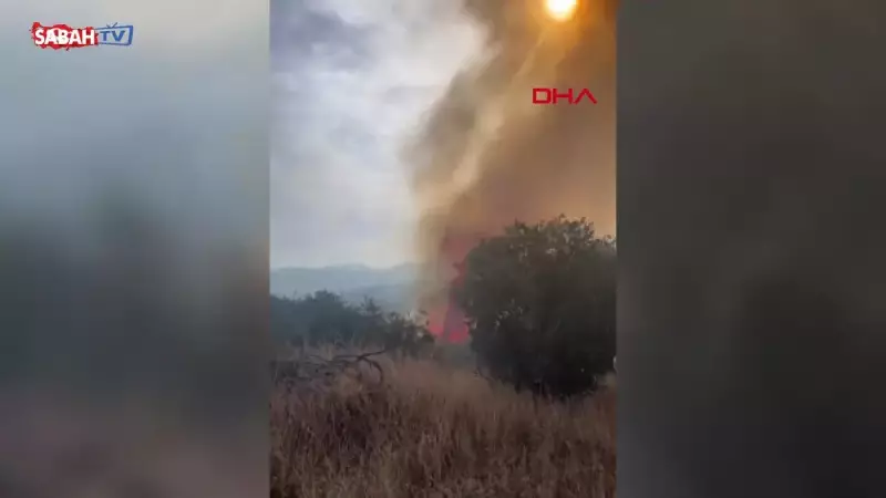 Bozdoğan'da Orman Yangını: Ekipler Alevlerle Mücadele Ediyor