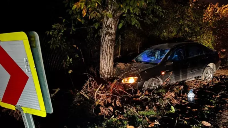 Bursa'da Korkunç Kaza: Otomobil Ağaca Çarptı, 3 Kişi Yaralandı!
