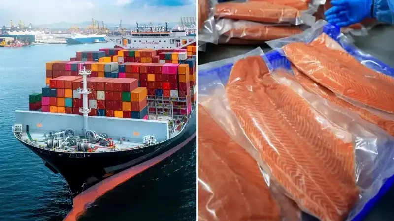 Doğu Karadeniz'den 10 Ayda 152 Milyon Dolarlık Somon İhracatı