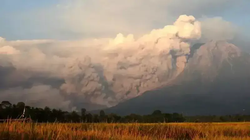 Endonezya'da Semeru Yanardağı Patladı: 800 Metre Kül