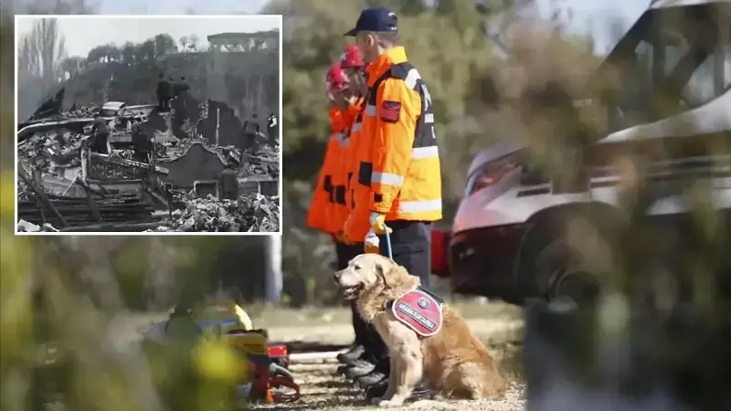 Erzincan'da Sahipli Köpekler Arama Kurtarma Uzmanı Oluyor! İşte O Özel Eğitimler
