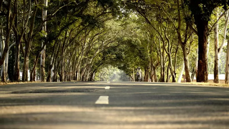 Fethiye'den Rodos'a Feribot Keyfi: Mesafe, Süre ve Unutulmaz Bir Ege Macerası!