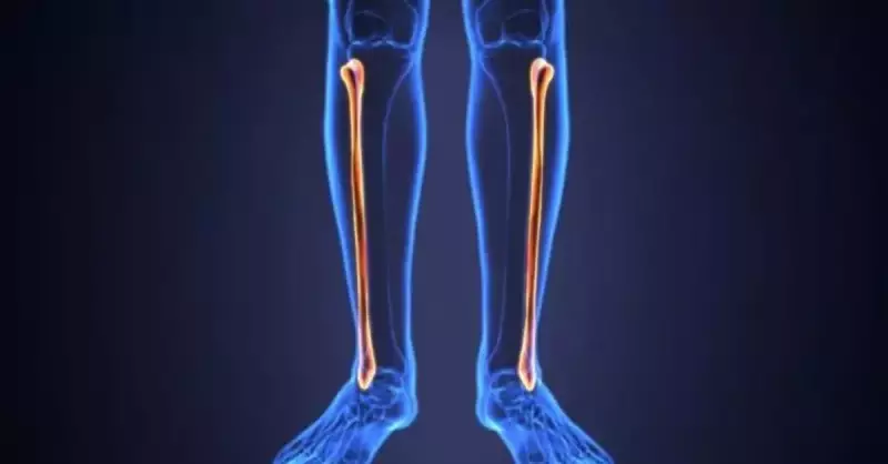 Fibula Kemiği Nerede? Görevleri ve Özellikleri Açıklandı