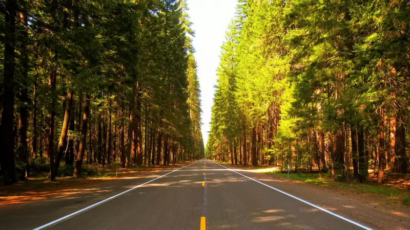 Gaziantep-Ordu Arası Yolculuk: Mesafe, Süre ve Pratik Bilgiler Rehberi