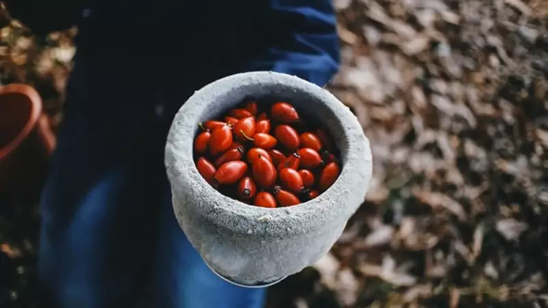 Günde 1 Bardak Tüketen Hastalık Yüzü Görmüyor: C Vitamini Deposu