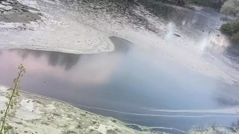 Gönen Çayı'nda Ekolojik Çöküş: Prof. Dr. Mustafa Sarı Uyarıyor