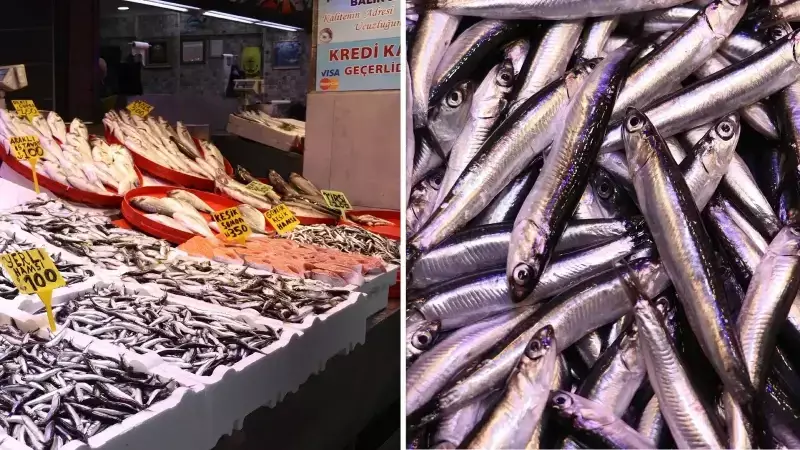 Hamsi Fiyatları 100 Liraya Yükseldi, Balıkçılar Fiyat Artışını Açıkladı
