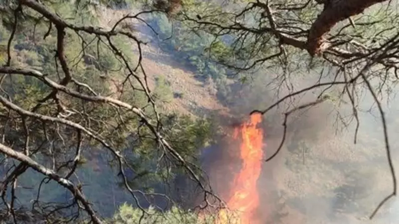 Hatay Belen'de Orman Yangını: Ekipler Karadan Müdahale Başlattı
