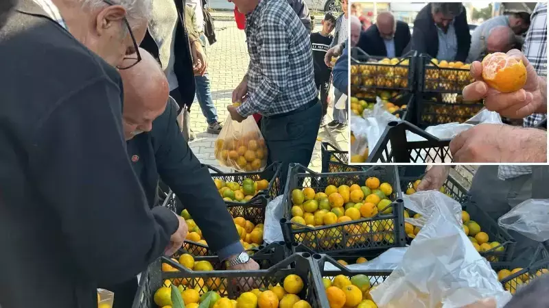 Hatay'da Mandalina Krizi: Üreticiler Ürünlerini Bedava Dağıtıyor