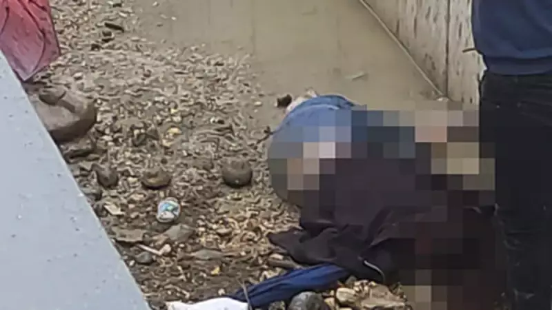 Hatay'da Trafik Kazası: 23 Yaşındaki Zehra Hayatını Kaybetti