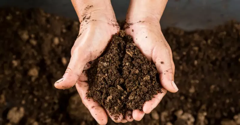 Hidromorfik Toprak Nedir? Türkiye'deki Konumu ve Özellikleri
