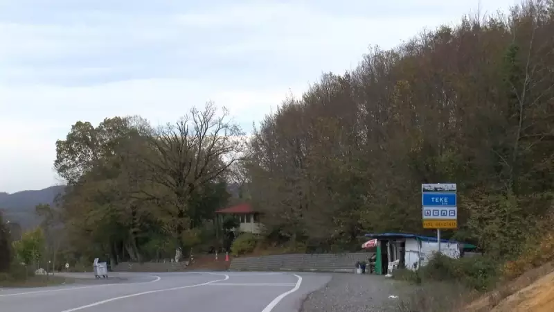 Şile'de Şap Hastalığı: 21 Mahalle Karantinada