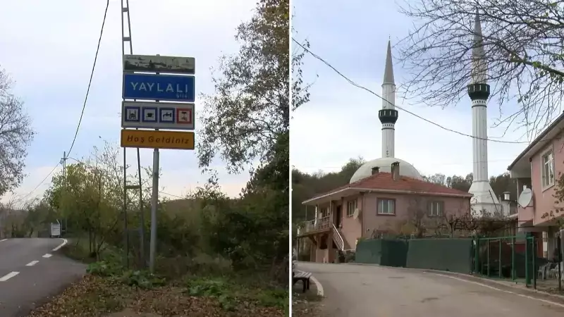 Şile'de Şap Hastalığı: 21 Mahalleye Karantina Uygulandı