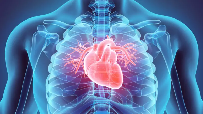 Kalp Problemlerinin 9 Gizli İşareti: Birçok Kişi Fark Etmiyor!