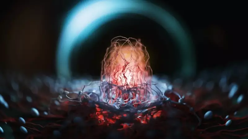 Kanser Tedavisinde Çığır Açan Gelişme: Artık Hastalık Bir Hapla Kontrol Altında!