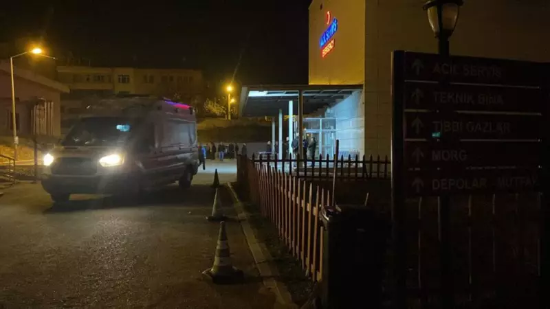 Kastamonu'da Baba-Oğul Tartışması: Oğlunu Tabancayla Öldürdü