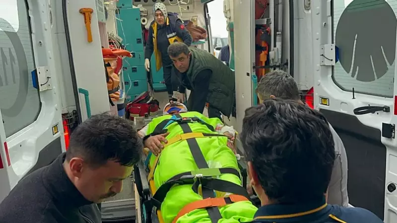 Kastamonu'da Mantar Toplayan İmam Ayı Saldırısından Son Anda Kurtuldu