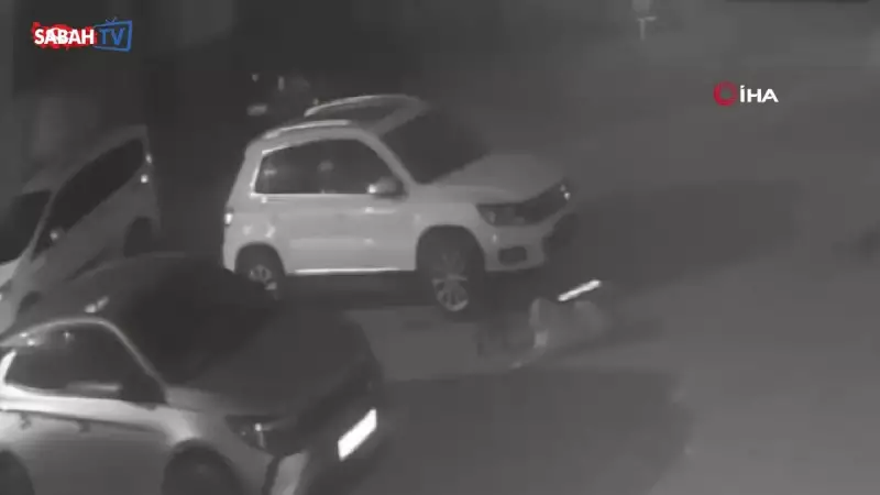 Kastamonu'da Sokak Köpekleri Park Halindeki Aracı Parçaladı: 25 Bin TL Zarar